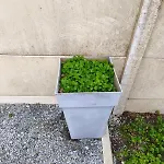 Charming House With Terrace, Parking, And Enclosed Garden Дом отдыха *